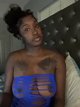 ToyaThick's Webcam Show
