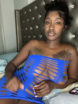 Show Webcam de ToyaThick