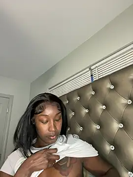 ToyaThick's Webcam Show