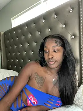 ToyaThick's Webcam Show