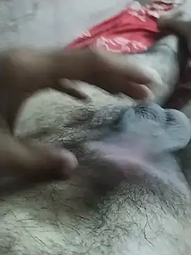 hyderabad_singlen Webbikameraesitys