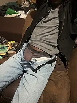 cowboy_420kn Webbikameraesitys