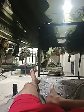 Show de MonasticCanine na webcam