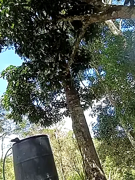 MonasticCanine's Webcam Show