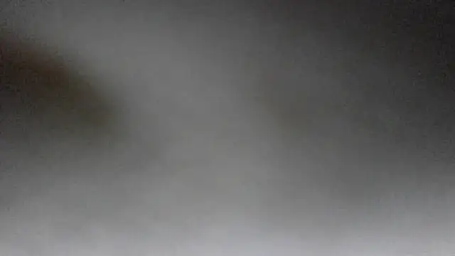 Alexles444n Webbikameraesitys