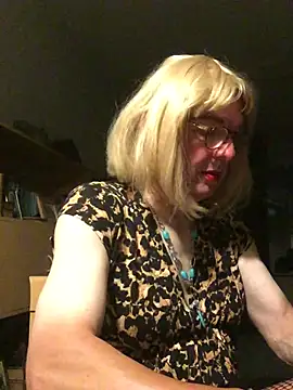 simone_xdressingn Webbikameraesitys