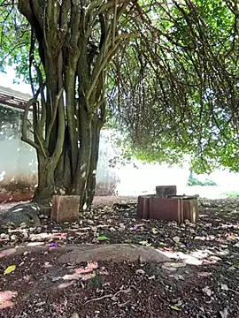 عرض كام Lucasjandre