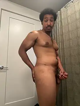 Show de 2tonebone na webcam
