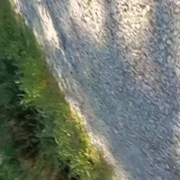 topman_____n Webbikameraesitys