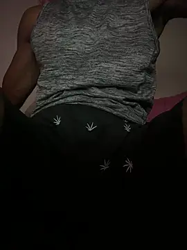 Show Webcam de MrHank100