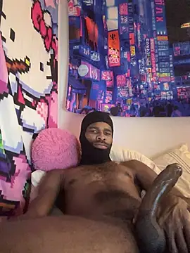 Show de webcam de MrHank100