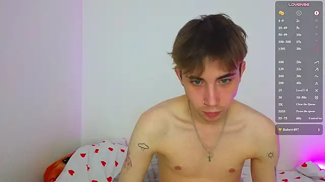 Show webcam de matoki0