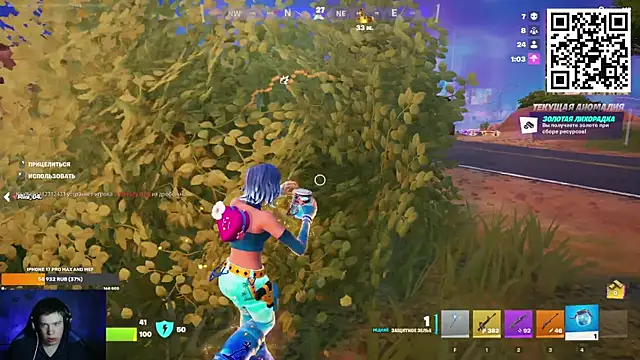 Ak_Macros – webcam-show