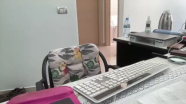 Show Webcam de coach-karl