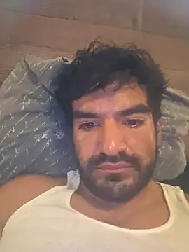 Show Webcam de piggylatino