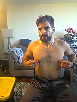 Show webcam de piggylatino