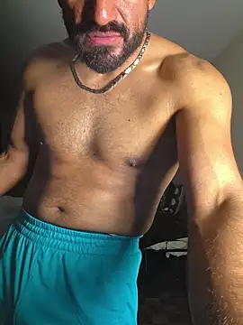 Show Webcam de piggylatino