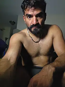 Show Webcam de piggylatino