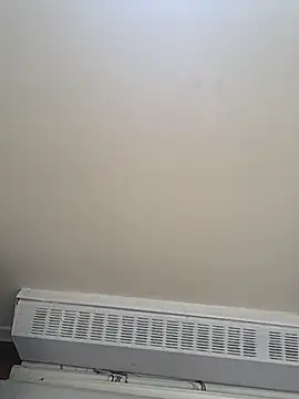 הופעת וובקאם של piggylatino