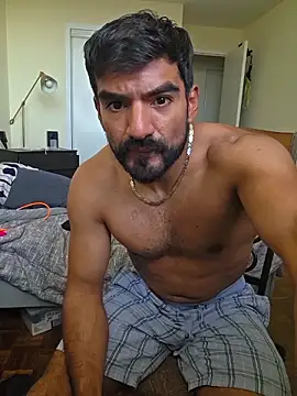 Show Webcam de piggylatino