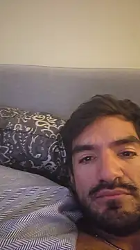 Show webcam de piggylatino