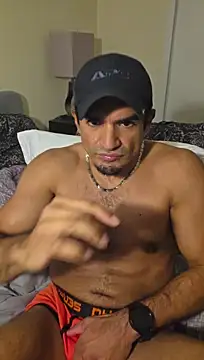 Show Webcam de piggylatino