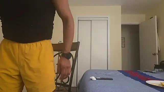 Show Webcam de piggylatino