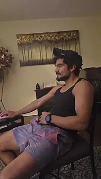 Show webcam de piggylatino