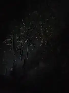 Junior_47 – webcam-show