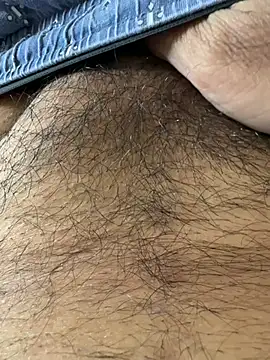 Show de Simplemind2 na webcam
