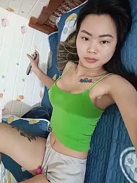 Lynk2x Show Webcam