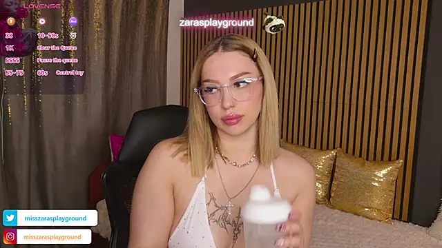 عرض كام ZarasPlayground