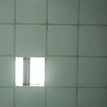 platone09 在線直播表演
