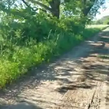 Pokazy przed kamerką – Cruising_Bimbo2001