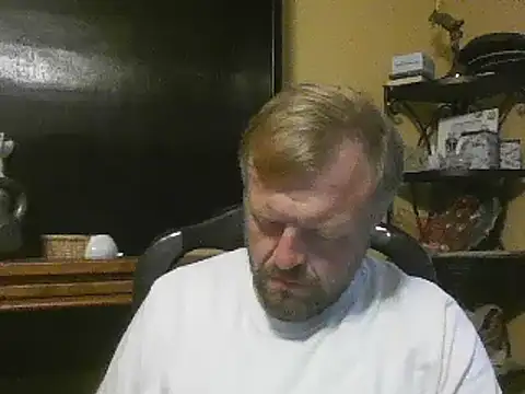 TheOneDonShaun Webcam Show