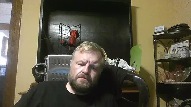 Show de TheOneDonShaun na webcam