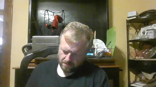 TheOneDonShaun Show in webcam