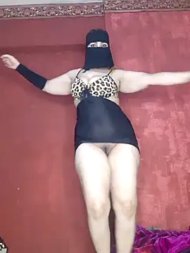 Show Webcam de Lssbj