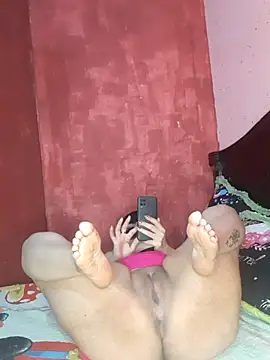 Lssbjn Webbikameraesitys