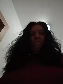 kotkite Pertunjukan Webcam