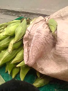 Webkamerová show Kim_mon