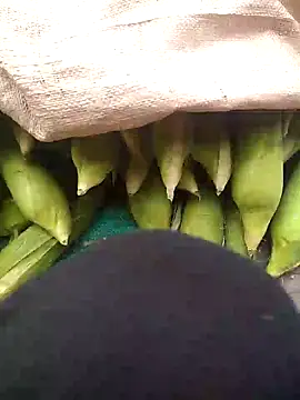 Kim_mon's Webcam Show