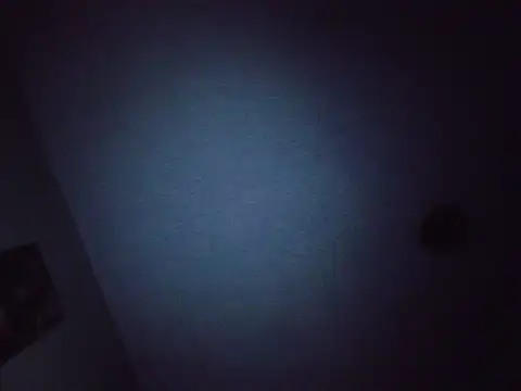 Webkamerová show dejavujade