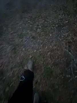 Show Webcam de JockNThirsty