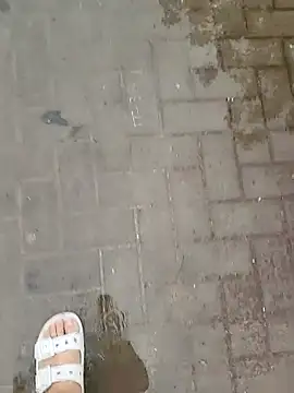 Show webcam de Meow_buggie