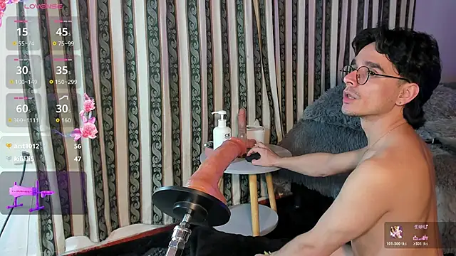Show Webcam de Hugucam