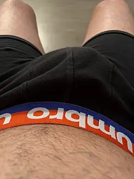 Show webcam de Metisseo
