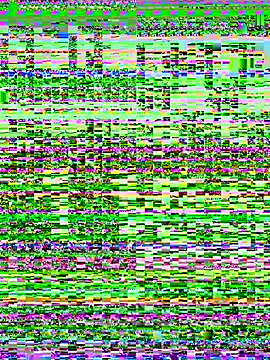 Kaylor4 即時聊天室