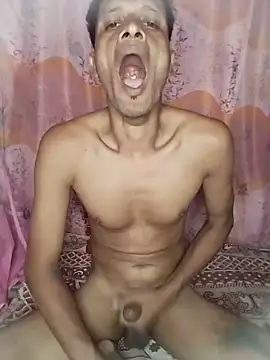 Show webcam de Priankaboudi