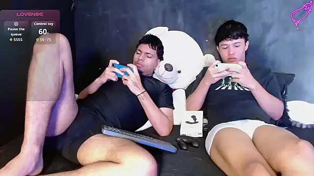 Henry_villa23n Webbikameraesitys